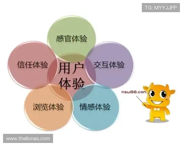 开云手机注册登录流程优化建议，提升用户体验与账号安全性